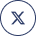 X (Twitter)